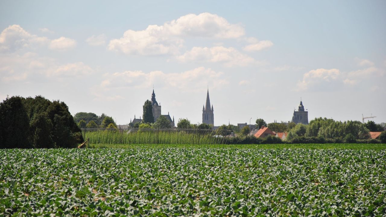 AreaSummer1KM AreaSummer1KM